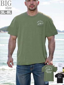 プリントTシャツ 大きいサイズ メンズ RUSTY ラスティ おしゃれT ロゴ 胸ポケット デザイン 男 かっこいい 服 C050516-10
