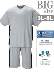 [傫TCY3L`8L]㉺ZbgAbvX|[cEFA W[W ㉺Zbg 2g njJbVeؑ֔TVcn[tpcZbg j   C060220-03