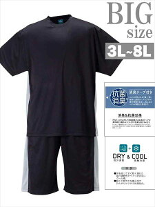 [傫TCY3L`8L]㉺ZbgAbvX|[cEFA W[W ㉺Zbg 2g njJbVeؑ֔TVcn[tpcZbg j   C060220-03