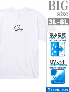 T�V���c �r�b�O�T�C�Y �����Y ���o�[�v�����g �傫���T�C�Y BEAUMERE ���S BIG�T�C�Y �j ���������� �� C060627-02