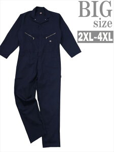 Ȃ 傫TCY Y ƒ ƕ ciM DICKIES cC  rbOTCY BIG j   C060918-06