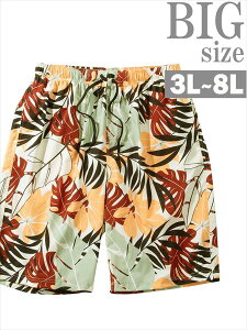 T[tpc 傫TCY Y {^jJ OP Xgb` T|[^[t  hJ j   C070428-09