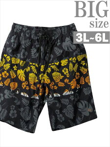 T[tpc 傫TCY Y ԕ {^jJ OP Xgb` T|[^[t zF j   C070428-10