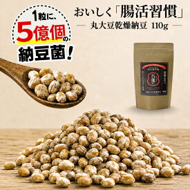 【丸大豆 乾燥納豆】110g（大袋）◎納豆菌だから！おやつで食べても罪悪感ゼロ◎- 無添加・国産・フリーズドライ納豆・災害備蓄用納豆にOK-