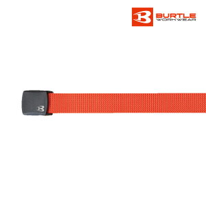 xg 4011 BURTLE o[g iC [NEFA ƒ ƕ
