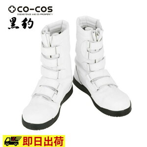 yꕔ[zZA-083 R[RX ƌC SC Y ^ pZ[teB[