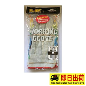 y[zB1004 OD{vt ̂΂̂  wD ƒ ƕ