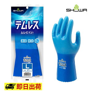yꕔ[z281 eX SHOWA V[ |E^  ƒ ƕ