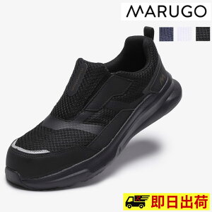 y[z#790 }S [NV[Y }_Light Z[teB[V[Y SC Xb|^Cv L