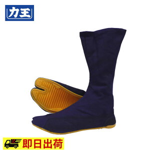 y[z͉Y12 T-12   Rn[ n 