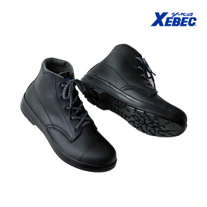 ҏ 85022 XEBEC W[xbNc Ռz ϖ E^2w ƕ ƒ