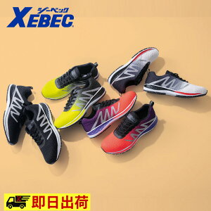 yꕔ[z85151Z[teB[V[Y W[xbN XEBEC SC yʃ\[ bV R^Cv