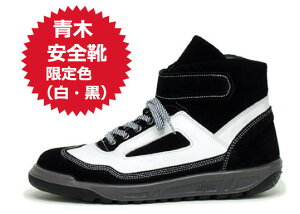 ؈SC ACgXKi ZR-21BW()KȗSn