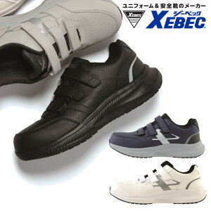 85417 Z[teB[V[Y W[xbN SC 2025NVi v c ʃt@Xi[