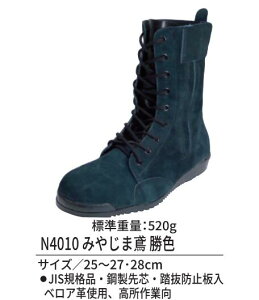pSC ݂₶ܓ N4010 F ̂΂̂