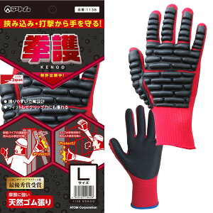 1138  Ag Ɨp veNg ׂ~ 擾 ATOM 13Q[W