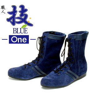 pSC ZBlue-One- ؈SC ACgX Ki pSCƂĈpꃍOZ[BuSvƁu͂Snvugvɂ߂ꑫłI