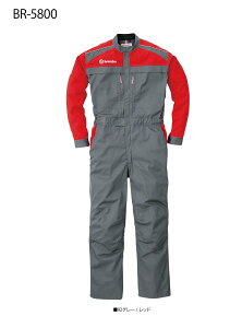 JjbNX[c Ȃ ciM ۋSX BR-5800 C^Auhuu{vfUC̗p ̎dɍœKȍƒłI