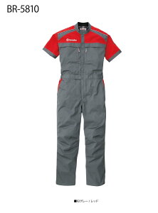 JjbNX[c łȂ ciM ۋSX BR-5810 C^Auhuu{vfUC̗p ̎dɍœKȍƒ