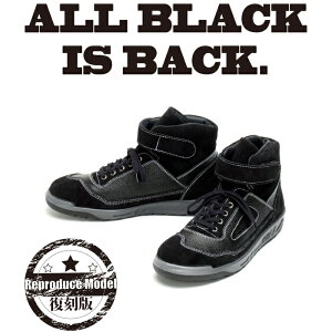 SC ؈SC ACgX ZR-21 (×)  I[ubNFiALL BLACK) JIS捇ii { ͂SnQ̈ꑫł