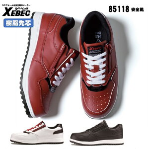 [ 85118 SC ] W[xbN XEBEC Z[teB SC 22.0cm`30.0cm c RہEhL Ռz ySP\[ ϖS jp ϊ\[ L4E TCht@Xi[ zCg bh 