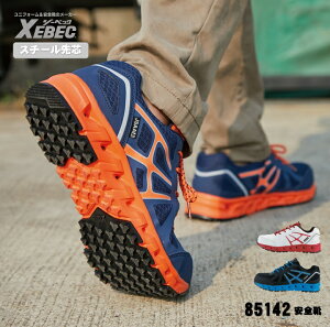 [ 85142 SC ] W[xbN XEBEC Z[teB SC y JSAAKiF 22.0`30.0cm |c ϖS ySP\[ ϊ\[ ʋC x`[V