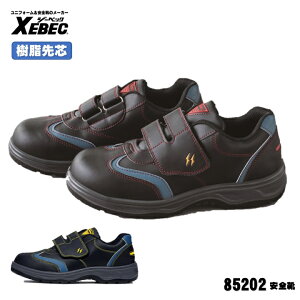 [ 85202 SC ] W[xbN XEBEC Z[teB SC c RہEhL Ռz ÓdCѓdh~C L4E݌v ʃt@Xi[