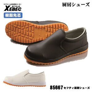 [ 85667 ZteB~[V[Y ] W[xbN XEBEC ~[V[Y c y 22.0`30.0cm ϖS ySP\[ ϊ\[ jp zCg ubN
