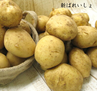 大きい!!!★新ばれいしょ【10kg】2L,3Lサイズ鹿児島、長崎県産★新じゃがいも★馬鈴薯★|ROOM - 欲しい! に出会える。 大きい!!!★新ばれいしょ【10kg】2L,3Lサイズ鹿児島、長崎県産★新じゃがいも★馬鈴薯★|ROOM - 欲しい! に出会える。