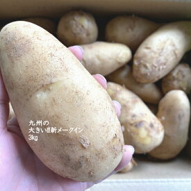 楽天市場 ポテ 3lの通販 楽天市場 ポテ 3lの通販