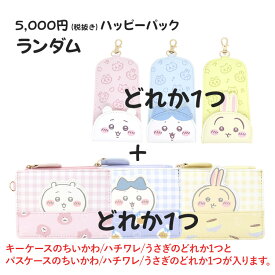 【数量限定】ちいかわ ハッピーパック 第2弾 福袋 Happy Pack ハッピーバッグ ちいかわ ハチワレ うさぎ モモンガ リール付き キーケース キーホルダー フラグメントケース パスケース 定期入れ カードケース ステッカー ヘアアクセ 文房具 詰め合わせ 送料無料