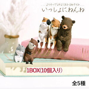 y1BOXzYELL G[ ɂ˂ nX^[ JE\ OєL ˂ lR jR Č ΂  N} F JvZgC K`K` fBXvC  ANAE v^[ f
