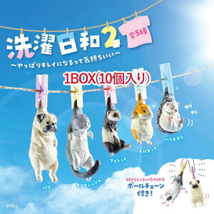 y1BOXz YELL G[ a2 `ςLCɂȂċC` nlY~ bg tFbg XReBbV pO uCh{bNX fBXvC  ANAE v