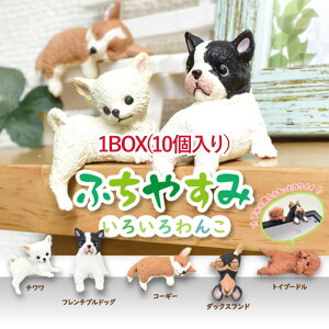 y1BOXzYELL G[ ӂ₷ 낢 ӂ   tBMA JvZgC K`K` fBXvC  ANAE v^[ fXN  RNV D `