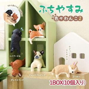 y1BOXzYELL G[ ӂ₷ FX2 ӂ   tBMA JvZgC K`K` fBXvC  ANAE v^[ fXN  RNV D ` t