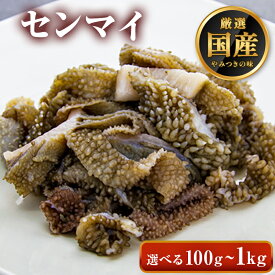 ◆味付けなし 国産 センマイ 【選べる100g-1kg】 牛肉 ホルモン 焼肉 焼肉用 BBQ バーベキュー お歳暮 プレゼント ギフト