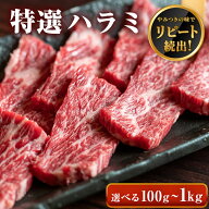 ◆味付けなし やわらかい ハラミ 【選べる100g-1kg】牛肉 焼肉 ホルモン BBQ バーベキュー アウトドア お…