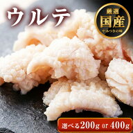 ◆味付けなし ホルモン ウルテ【選べる200g or 400g】フエガミ フエガラミ 牛肉 ホルモン 焼肉 鉄板焼き …