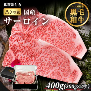 yBLACKFRIDAY P5{zMtg T[C 400g (200g×2) 2lO`3lO  јa A5 A5N T[CXe[L Xe[L  v[g ϔ p ipyMtg{bNX