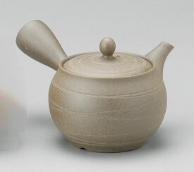 盛正 急須 常滑焼 焼〆急須 帯網 400cc M501