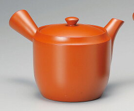 急須 常滑焼 深蒸し急須 780cc さわやか M658 | きゅうす おしゃれ 日本製 常滑 常滑市 愛知県 愛知 深蒸し茶 茶 お茶 キッチン雑貨 焼き物 陶器 陶磁器 日本六古窯 陶製 ティーポット ギフト プレゼント とこなめやき 茶器 食器 和食器