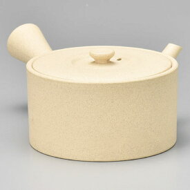 茶葉が広がる急須 常滑焼 人水作 急須 セラメッシュ 420cc M387 | きゅうす おしゃれ 冷茶 冷茶急須 日本製 焼き物 作家 人水 陶器 陶磁器 陶製茶こし 日本六古窯 愛知県 愛知 常滑市 ティーポット おすすめ お茶 陶製 食器 和食器 茶器 プレゼント ギフト