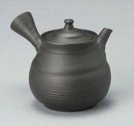 常滑焼 風月作 窯変黒 急須 陶製茶こし 230cc Y27 | きゅうす おしゃれ 日本製 焼き物 作家 陶器 陶磁器 陶製茶こし 日本六古窯 愛知県 愛知 常滑市 ティーポット おすすめ お茶 陶製 食器 和食器 茶器 プレゼント ギフト