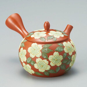 튊 ʌ D }{ ZbV 220cc Y60 | イ  { 튊 튊s m m [   Lb`G Ă   {Z×q  eB[|bg M