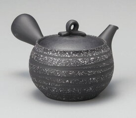 常滑焼 柏陽作 急須 260cc セラメッシュ Y223 | きゅうす おしゃれ 日本製 常滑 常滑市 愛知県 愛知 深蒸し茶 茶 お茶 キッチン雑貨 焼き物 陶器 陶磁器 日本六古窯 陶製 ティーポット ギフト プレゼント とこなめやき 茶器 食器 和食器