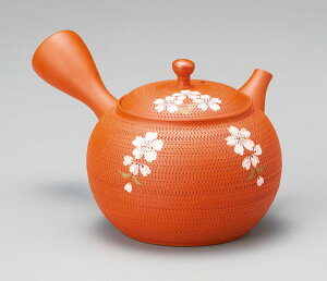 常滑焼 玉光作 急須 320cc セラメッシュ Y212 | きゅうす おしゃれ 日本製 常滑 常滑市 愛知県 愛知 深蒸し茶 茶 お茶 キッチン雑貨 焼き物 陶器 陶磁器 日本六古窯 陶製 ティーポット ギフト プ