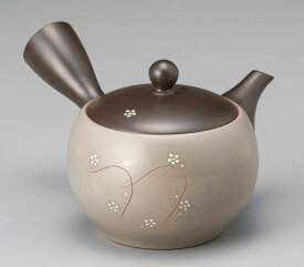 急須 きゅうす 常滑焼 深蒸し急須 350cc さわやか Y726 | おしゃれ 日本製 常滑 常滑市 愛知県 愛知 深蒸し茶 茶 お茶 キッチン雑貨 焼き物 陶器 陶磁器 日本六古窯 陶製 ティーポット ギフト プレゼント とこなめやき 茶器 食器 和食器