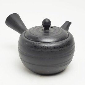 急須 常滑焼 深蒸し 小さい急須 160cc さわやか Y867