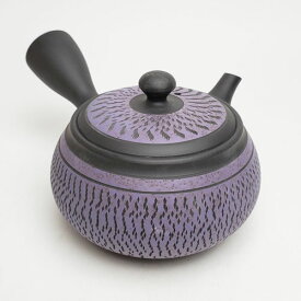 急須 常滑焼 帯網茶こし急須 250cc Y520 | きゅうす おしゃれ 日本製 焼き物 帯網 深蒸し茶 茶こし 陶器 陶磁器 日本六古窯 愛知県 愛知 常滑市 ティーポット おすすめ お茶 陶製 食器 和食器 茶器 プレゼント ギフト