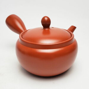 急須 常滑焼 深蒸し 急須 250cc のぞみ茶こし Y652 | きゅうす おしゃれ 日本製 常滑 常滑市 愛知県 愛知 深蒸し茶 茶 お茶 キッチン雑貨 焼き物 陶器 陶磁器 日本六古窯 陶製 ティーポット ギフ